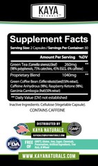(2 Pack) Green Tea Fat Burner 1200mg Natural Weight Loss, Increase Metabolism