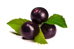 Fruit-powered vitality formula – ACAI BERRY – Active lifestyle booster 1 Bottle