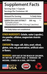 antioxidant powder – GREEN TEA EXTRACT – green tea extract 2B