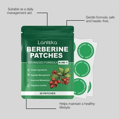 Berberine Patches 1 Month Supply 30 Patches