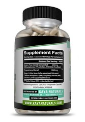 (2 Pack) Green Tea Fat Burner 1200mg Natural Weight Loss, Increase Metabolism