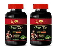 metabolism fat burner – GREEN TEA EXTRACT – green tea leaf extract 2B