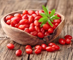 goji berry plant, GOJI BERRY 40% EXTRACT 1440mg, weight management, noni fruit 2