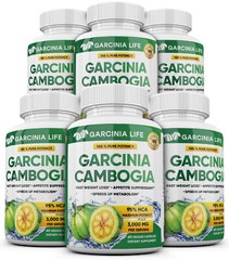 6 x BOTTLES 360 Capsules 3000mg Daily GARCINIA CAMBOGIA HCA 95% Weight Loss Diet
