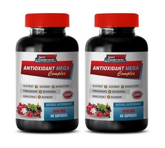 noni fruit powder – Antioxidant Mega Complex 1440mg – multivitamin complex 2B
