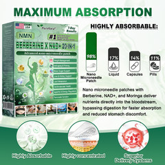 Purelora Moringa Berberine NAD+ Weight Loss Patches Advanced Nano Microneedle