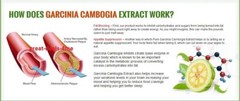 2 Pack GARCINIA CAMBOGIA 95% HCA 3000mg Daily Weight Loss Diet Pills Fat Burner