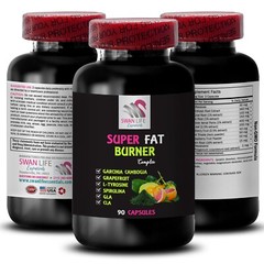 Daily Momentum – SUPER FAT BURNER – Spirulina Energize 1 Bottle 90 Capsules