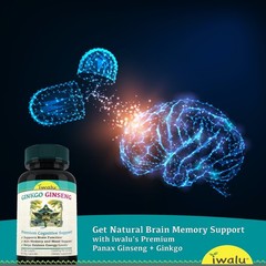 Mejor Suplemento Para Estimular Cerebro – Mejora Enfoque, Rendimiento Cognitivo