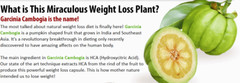 Natural Weight Loss – GARCINIA CAMBOGIA 1000mg – Fat Burner – 1Bottle 60Ct