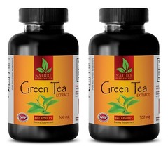 Green Tea Extract – Green Tea Extract 300mg – Organically Grown – 120 Pil