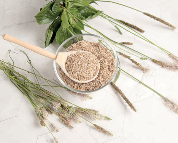 Psyllium
